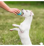 West Paw West Paw Dog Toys | Boundr Fetch Balls Aqua/Dandelion Small 2 pack