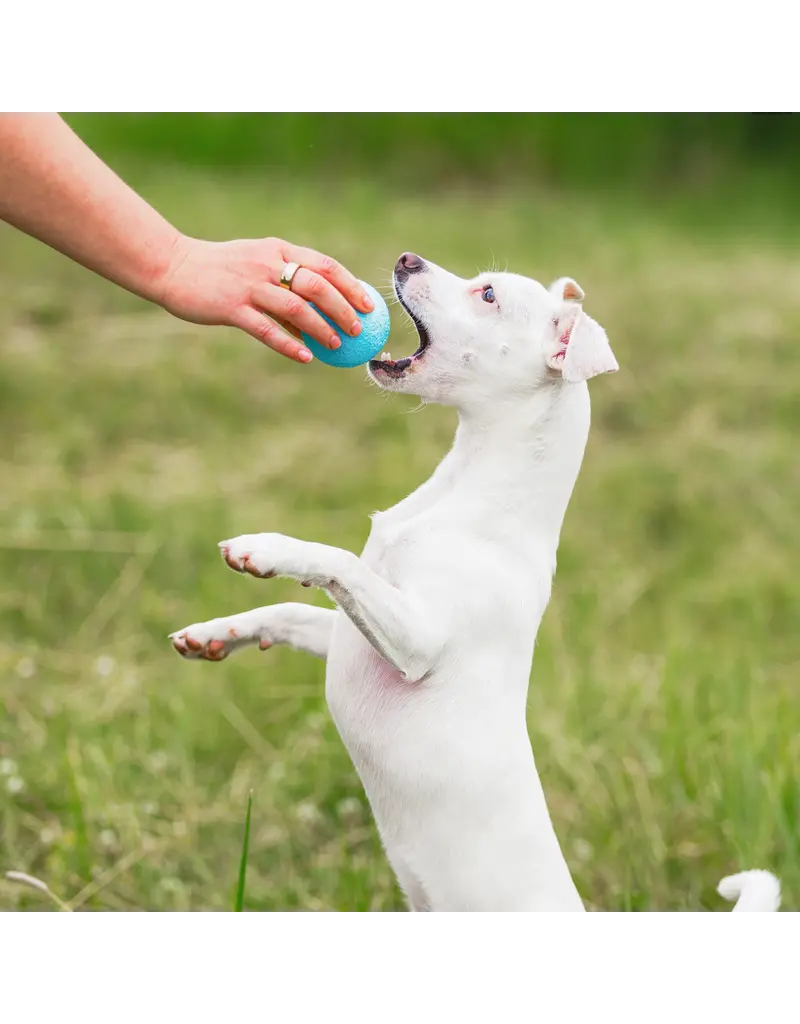 West Paw West Paw Dog Toys | Boundr Fetch Balls Aqua/Dandelion Small 2 pack