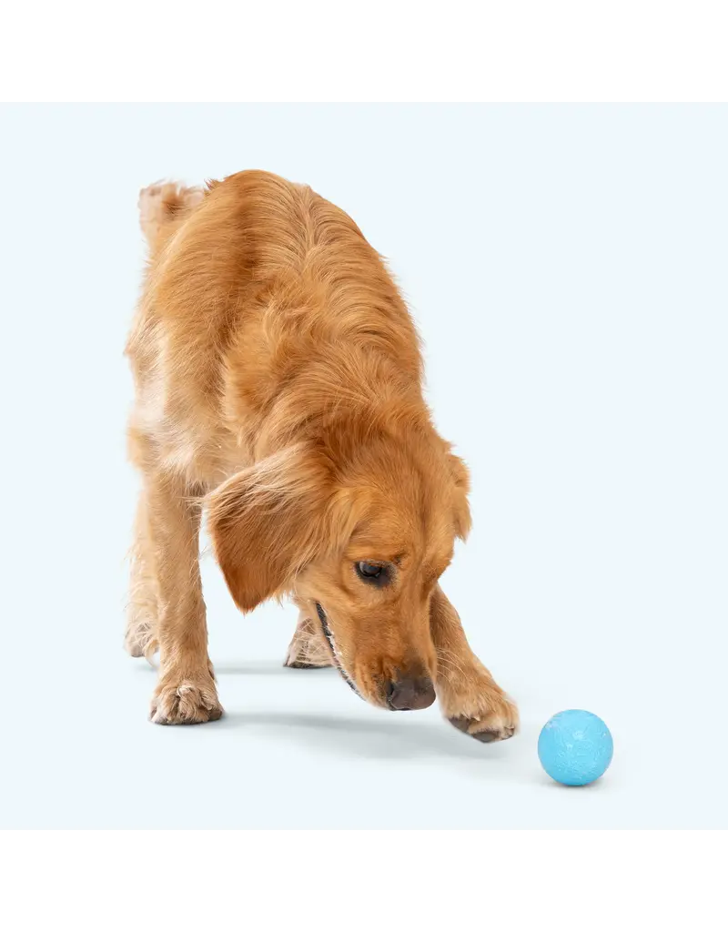 West Paw West Paw Dog Toys | Boundr Fetch Balls Aqua/Dandelion Small 2 pack