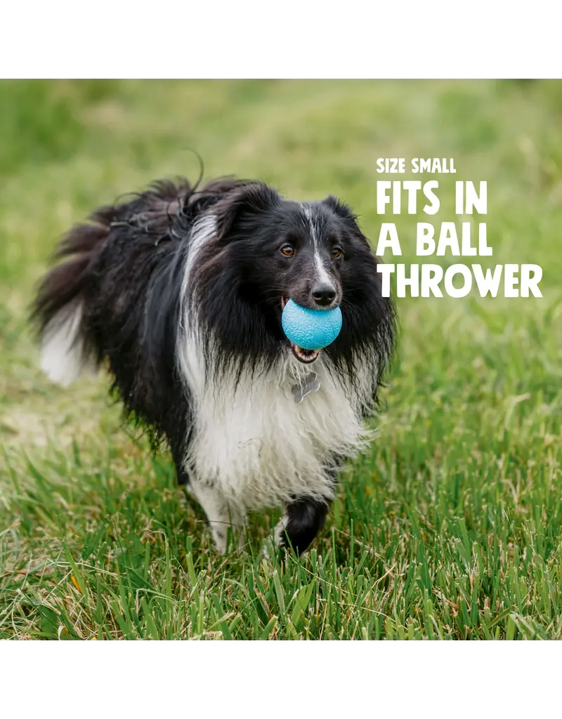 West Paw West Paw Dog Toys | Boundr Fetch Balls Aqua/Dandelion Small 2 pack