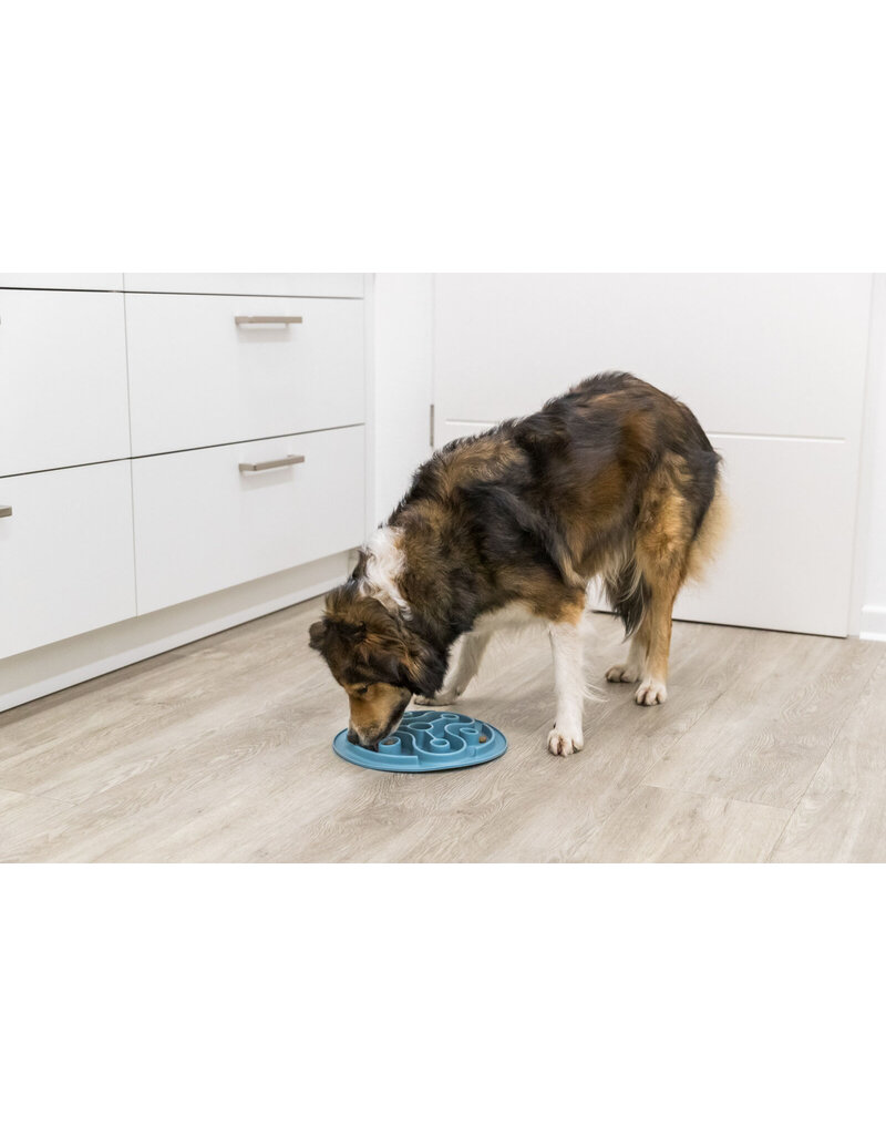 Trixie Pet Trixie Pet Products | Slow Feeding Mat for Dogs