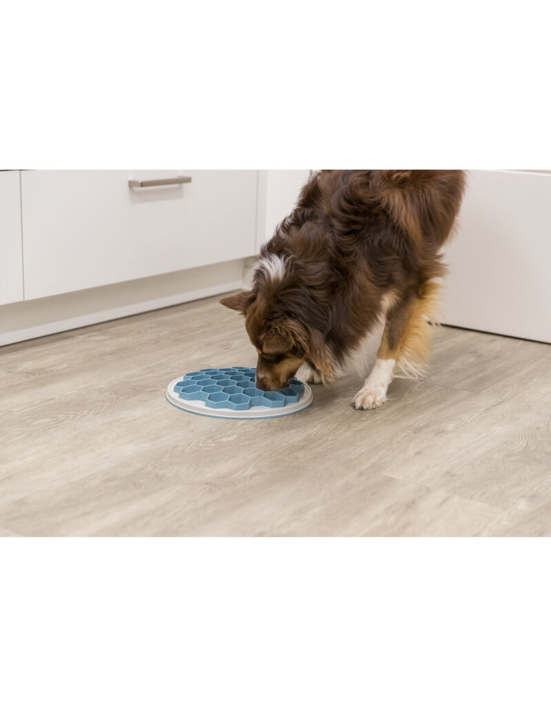 Trixie Pet Trixie Pet Products | Slow Feeding Hive Plate for Dogs