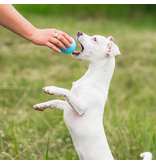 West Paw West Paw Dog Toys | Boundr Fetch Balls Dandelion Yellow Large