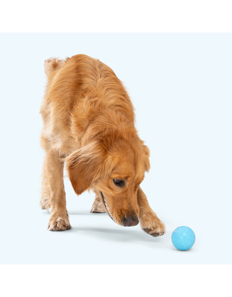 West Paw West Paw Dog Toys | Boundr Fetch Balls Dandelion Yellow Large