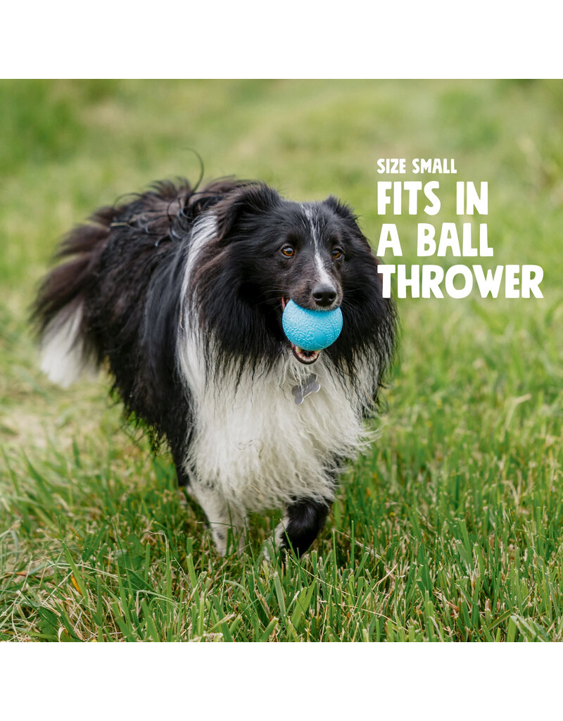 West Paw West Paw Dog Toys | Boundr Fetch Balls Dandelion Yellow Large
