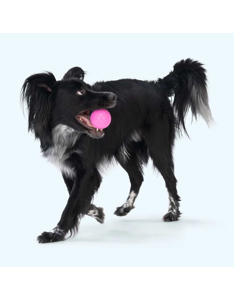 West Paw West Paw Dog Toys | Boundr Fetch Balls Hot Pink Large