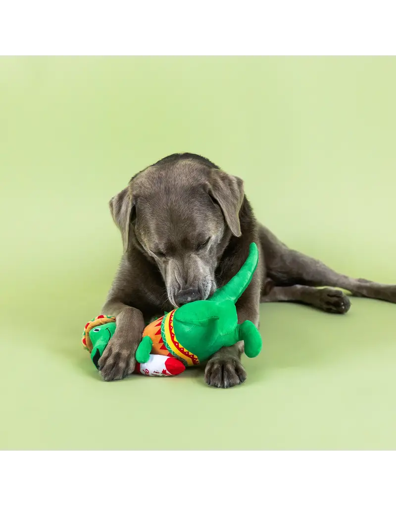 Pet Shop Pet Shop Fringe Studio Plush Dog Toy | Fiesta Saurus