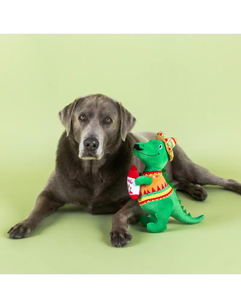 Pet Shop Pet Shop Fringe Studio Plush Dog Toy | Fiesta Saurus