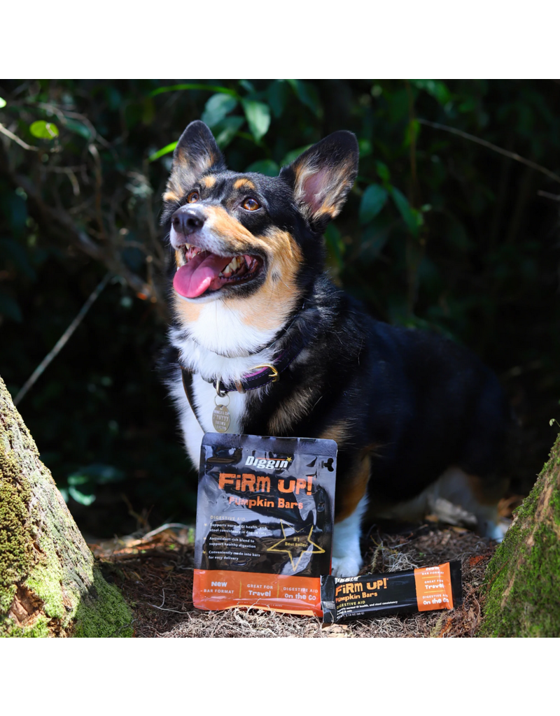 Diggin Your Dog Diggin Your Dog Supplements | Firm Up! Pumpkin Bar Digestive Aid 6 pk