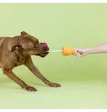 Pet Shop Pet Shop Fringe Studio Plush Dog Toy | Losing Conetrol Party Cone