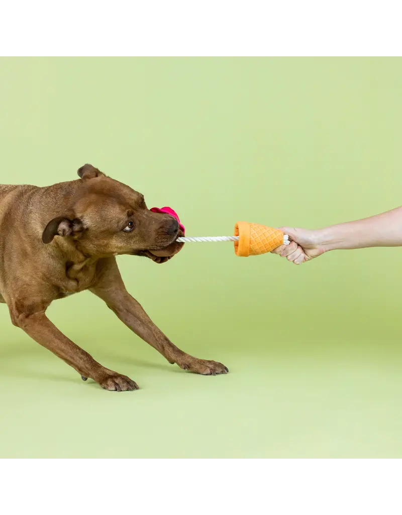 Pet Shop Pet Shop Fringe Studio Plush Dog Toy | Losing Conetrol Party Cone