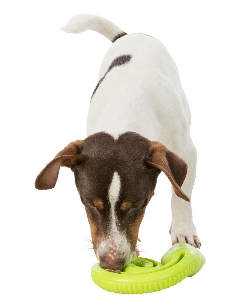 Trixie Pet Trixie Pet Products | Interactive Snack Snake Coiled Green 7 in
