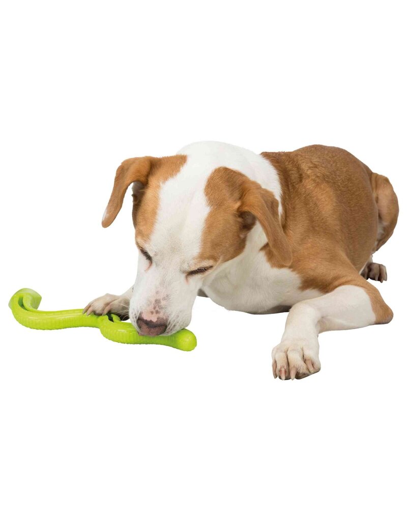 Trixie Pet Trixie Pet Products | Interactive Snack Snake Green 16.5 in