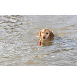 Trixie Pet Trixie Pet Products | Interactive Snack Buoy
