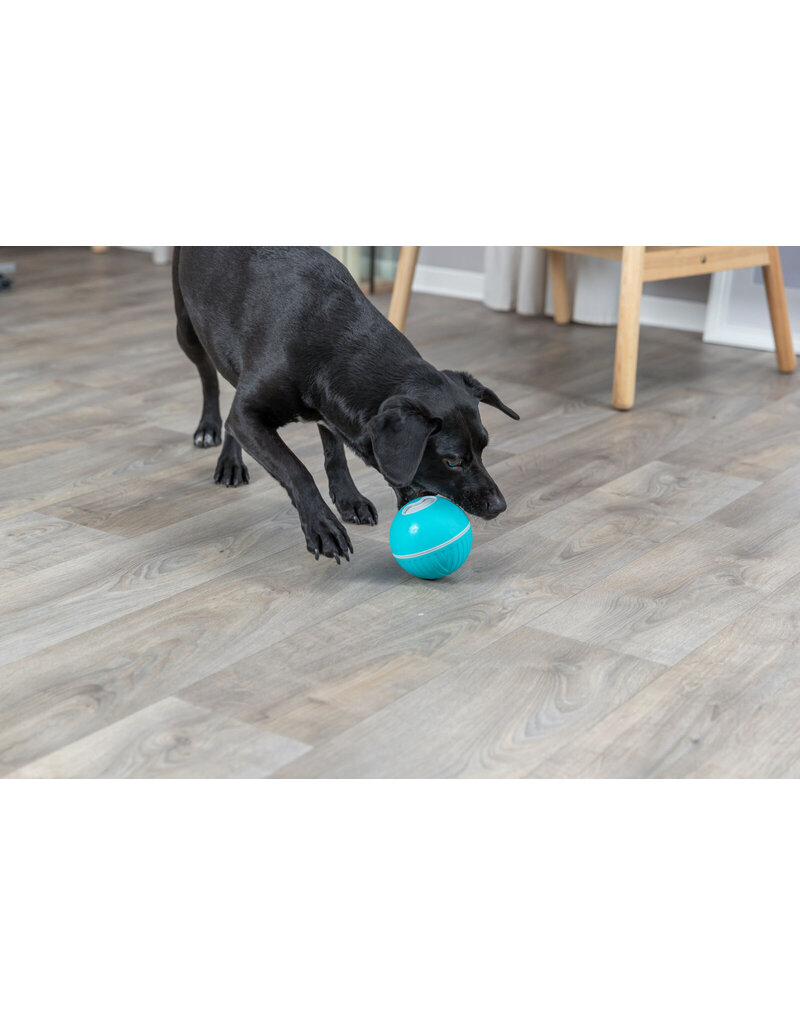 Trixie Pet Trixie Pet Products | Interactive Treat Tumbler Snack Ball