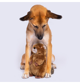 Fluff & Tuff Fluff & Tuff Inc. Dog Toys | Troy Beaver Medium