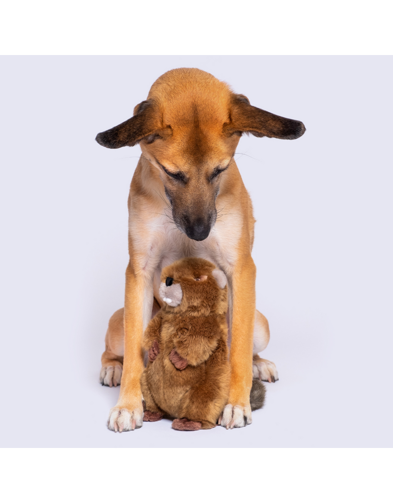 Fluff & Tuff Fluff & Tuff Inc. Dog Toys | Troy Beaver Medium