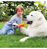 Bionic Dog Toys Bionic Dog Toys | Treat Shaker Large Orange