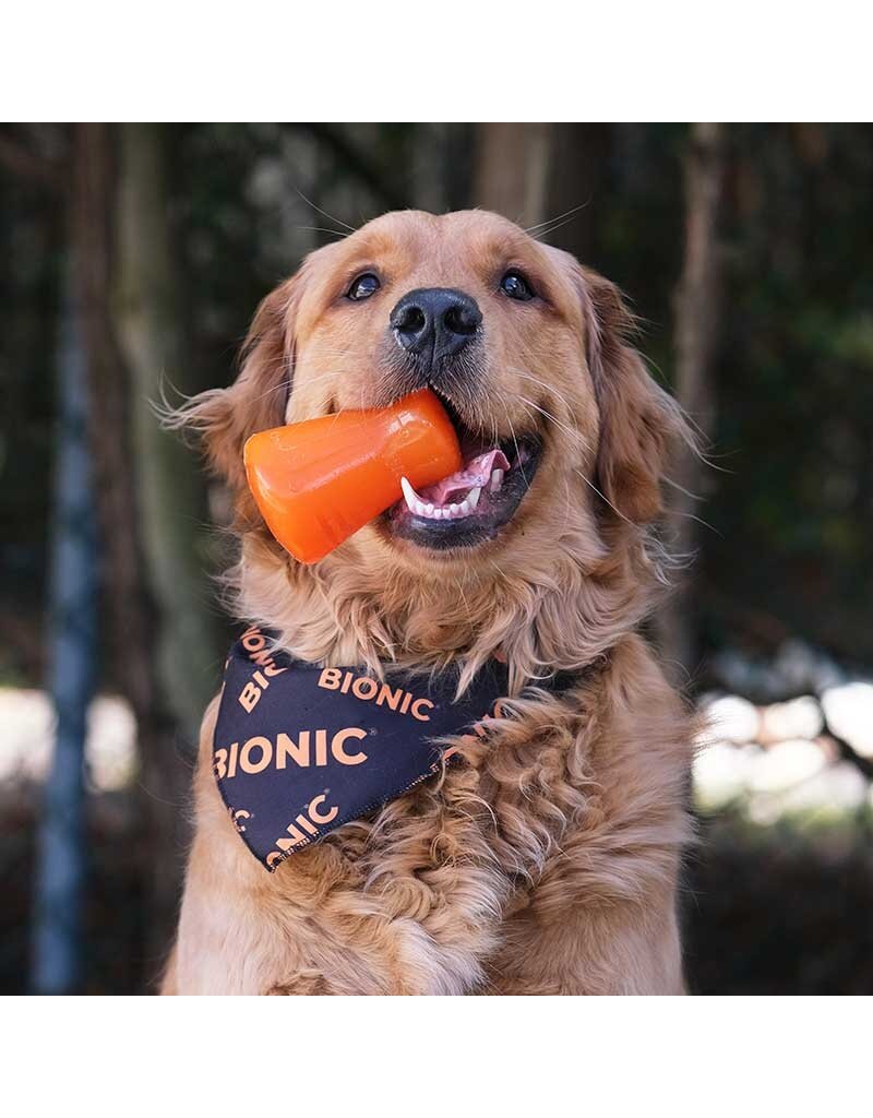 Bionic Dog Toys Bionic Dog Toys | Treat Shaker Medium Orange