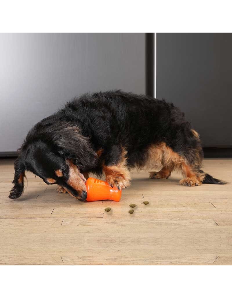 Bionic Dog Toys Bionic Dog Toys | Treat Shaker Small Orange