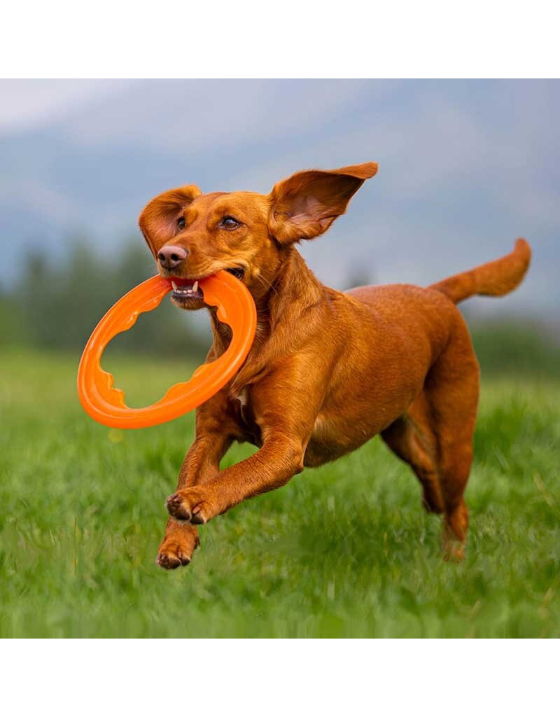 Bionic Dog Toys Bionic Dog Toys | Toss-N-Tug Turbo Orange