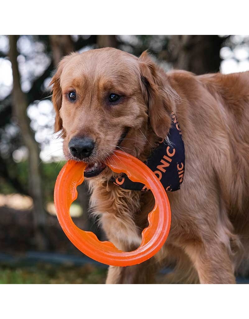 Bionic Dog Toys Bionic Dog Toys | Toss-N-Tug Turbo Orange