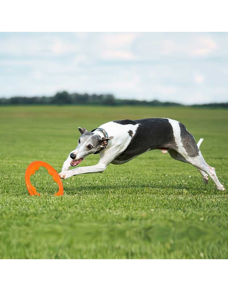 Bionic Dog Toys Bionic Dog Toys | Toss-N-Tug Turbo Orange