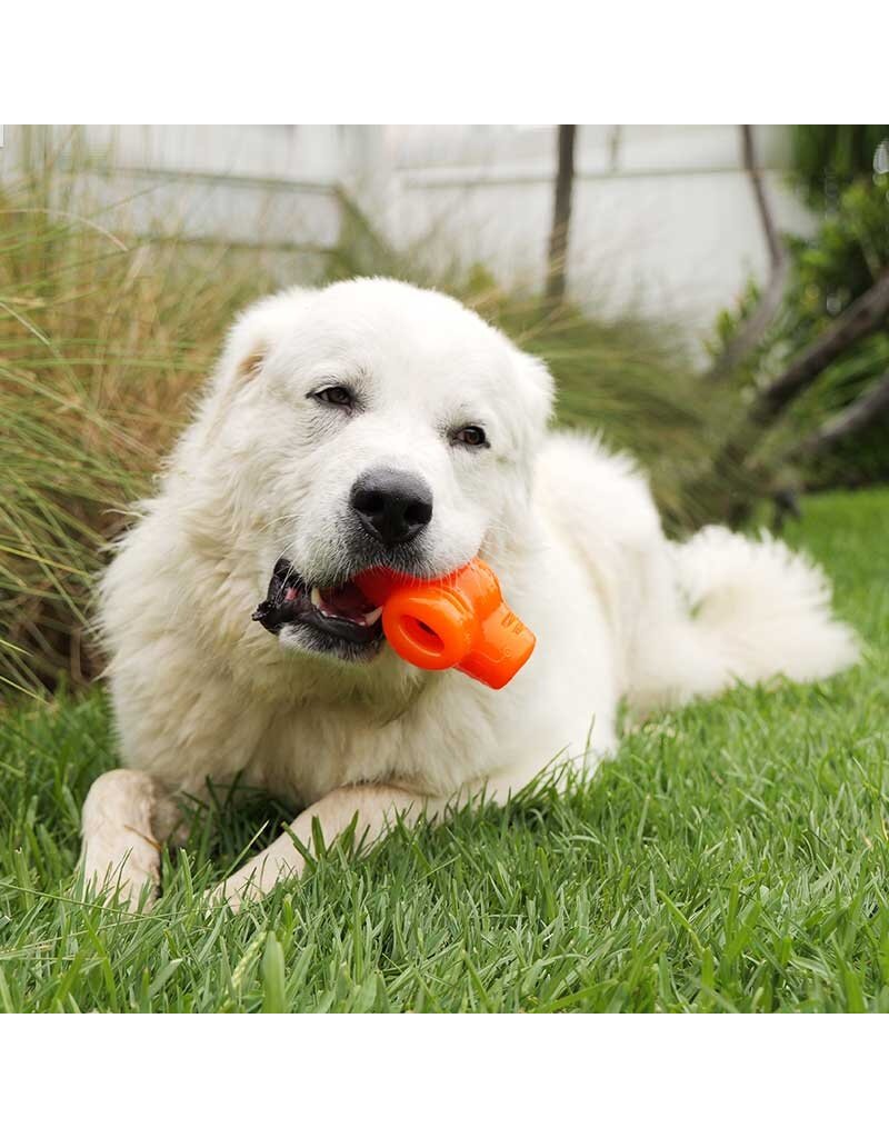 Bionic Dog Toys Bionic Dog Toys | Treat Star Orange