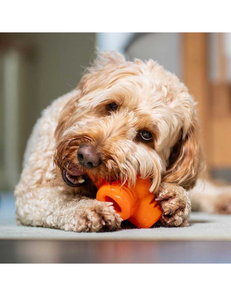 Bionic Dog Toys Bionic Dog Toys | Treat Star Orange
