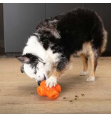 Bionic Dog Toys Bionic Dog Toys | Treat Star Orange