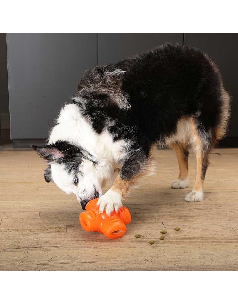 Bionic Dog Toys Bionic Dog Toys | Treat Star Orange