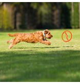 Bionic Dog Toys Bionic Dog Toys | Toss-N-Tug Orange