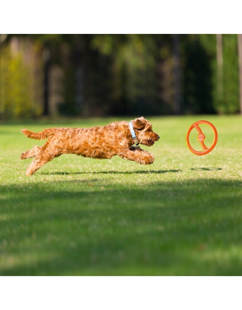 Bionic Dog Toys Bionic Dog Toys | Toss-N-Tug Orange