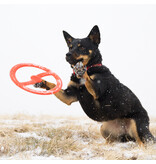 Bionic Dog Toys Bionic Dog Toys | Toss-N-Tug Orange