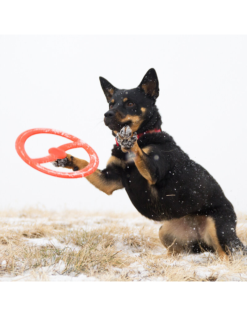 Bionic Dog Toys Bionic Dog Toys | Toss-N-Tug Orange