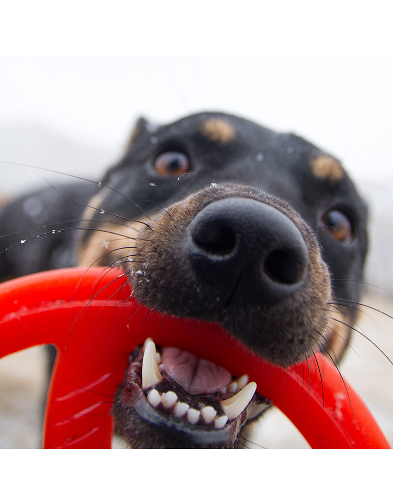 Bionic Dog Toys Bionic Dog Toys | Toss-N-Tug Orange