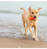 Bionic Dog Toys Bionic Dog Toys | Bone Medium Orange