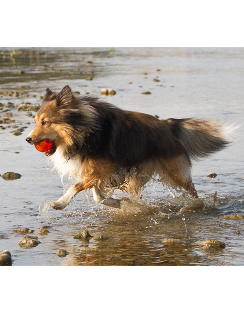 Bionic Dog Toys Bionic Dog Toys | Ball Large Orange