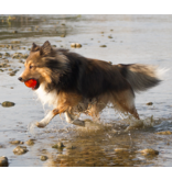 Bionic Dog Toys Bionic Dog Toys | Ball Small Orange