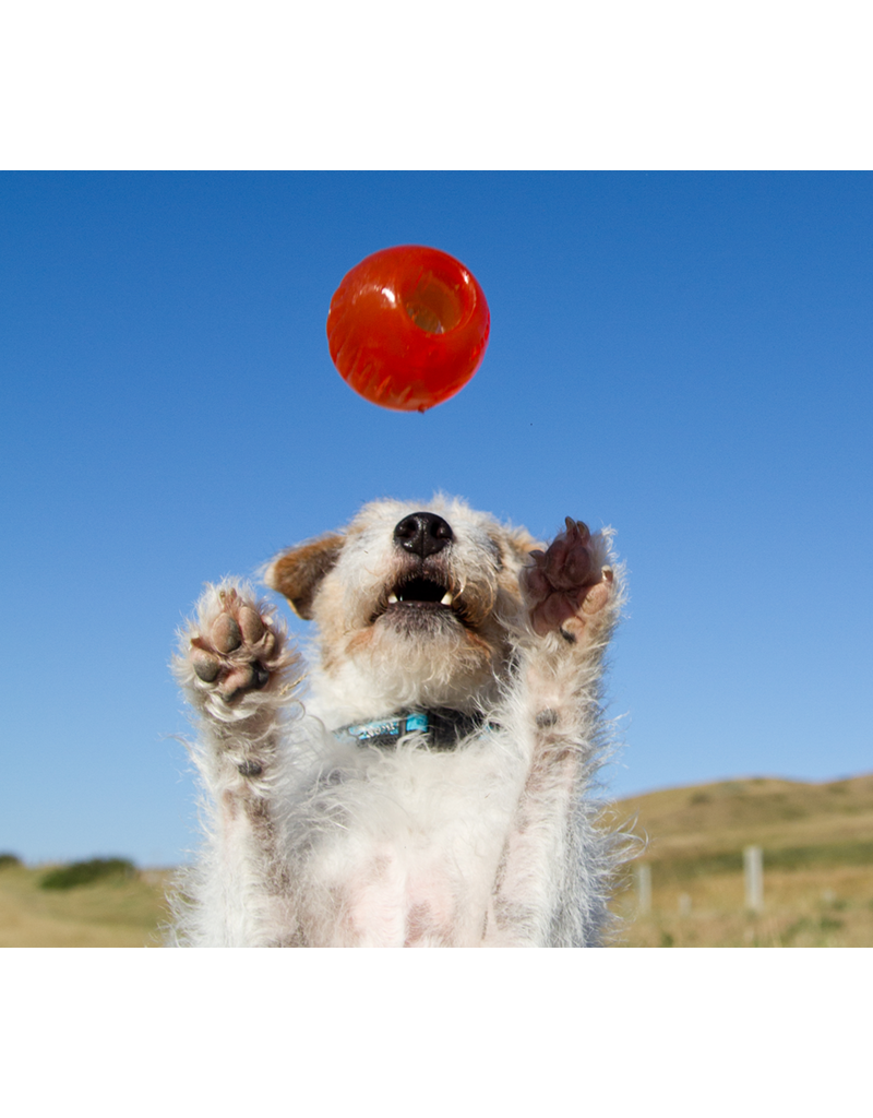 Bionic Dog Toys Bionic Dog Toys | Ball Small Orange