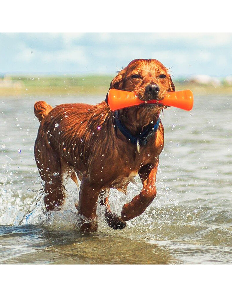 Bionic Dog Toys Bionic Dog Toys | Urban Stick Medium Orange