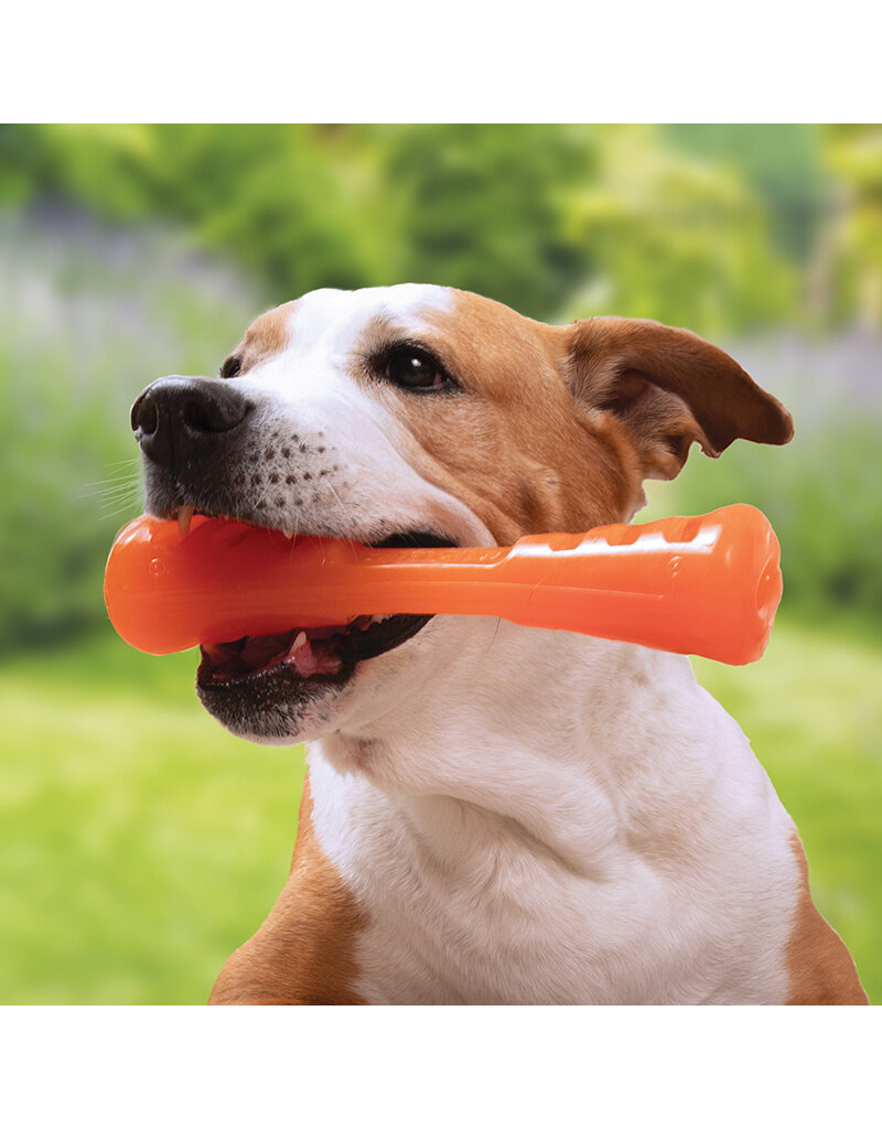 Bionic Dog Toys Bionic Dog Toys | Urban Stick Medium Orange