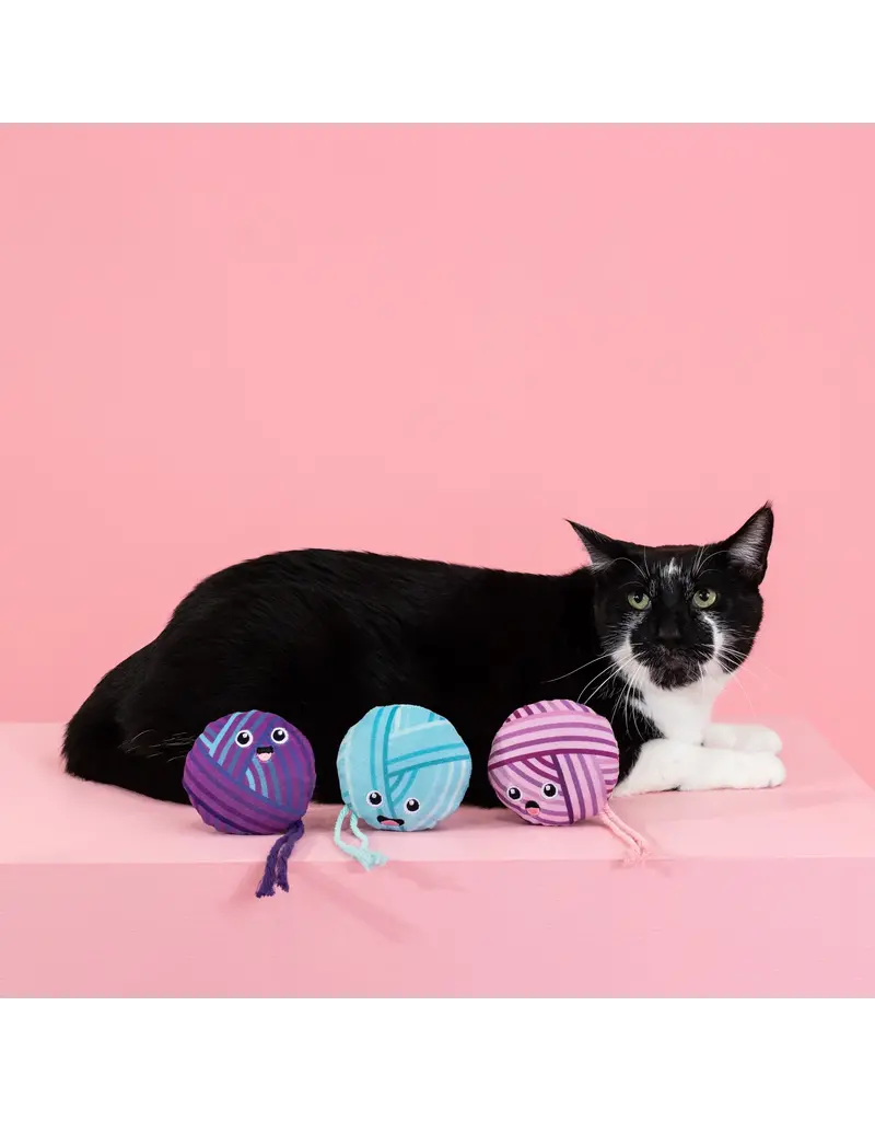 Pet Shop Pet Shop Fringe Studio Cat Toy Box | Time to Unwind 3 Pack Mini Set