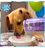 Lazy Dog Cookie Co. Lazy Dog Pup-Pop Dog Treats | Birthday Water Vanilla Cake Flavor 15.5 oz