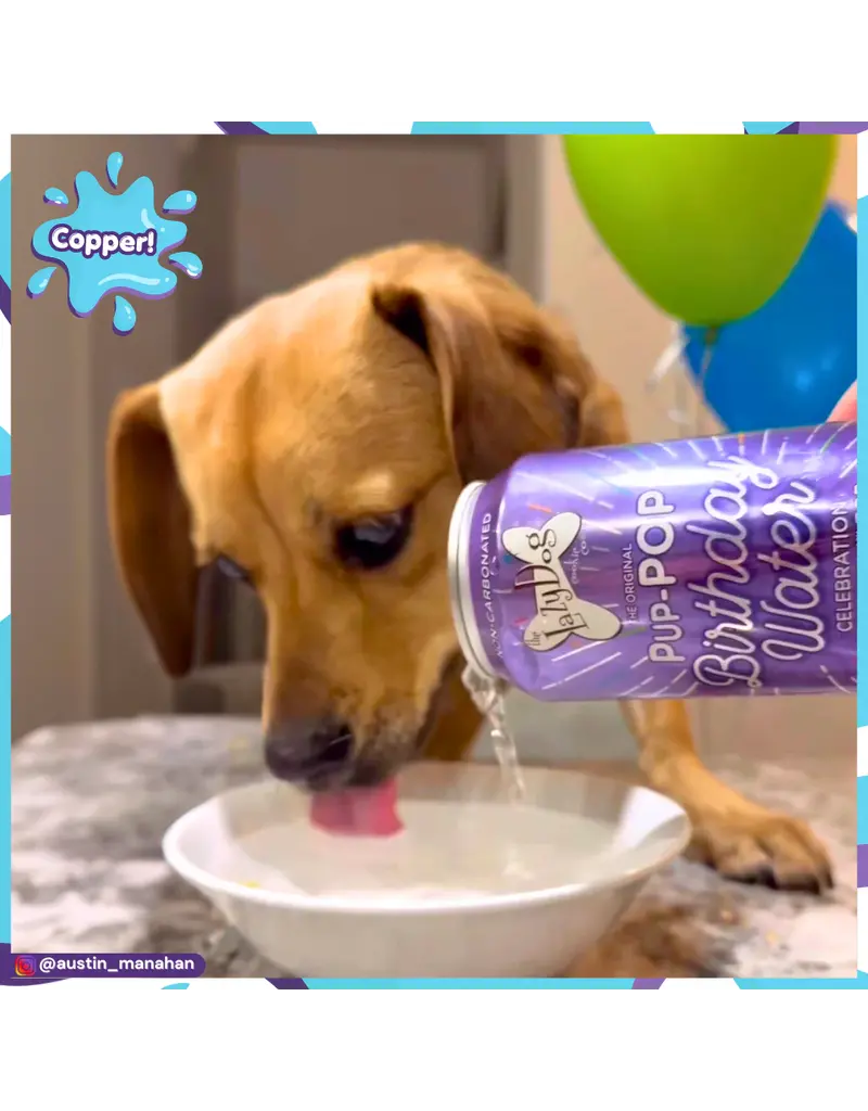 Lazy Dog Cookie Co. Lazy Dog Pup-Pop Dog Treats | Birthday Water Vanilla Cake Flavor 15.5 oz