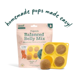 Woof Woof Pupsicle | Powdered Treat Mix Balanced Belly Pumpkin Recipe 5.5 oz