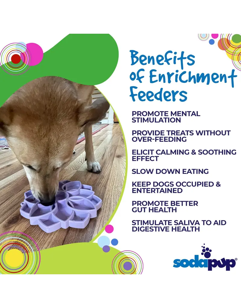 SodaPup SodaPup Enrichment Feeder | Softie Mandala Pastel Purple