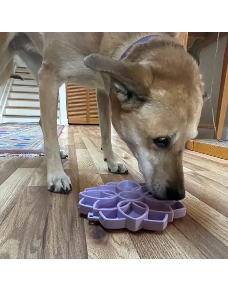 SodaPup SodaPup Enrichment Feeder | Softie Mandala Pastel Purple