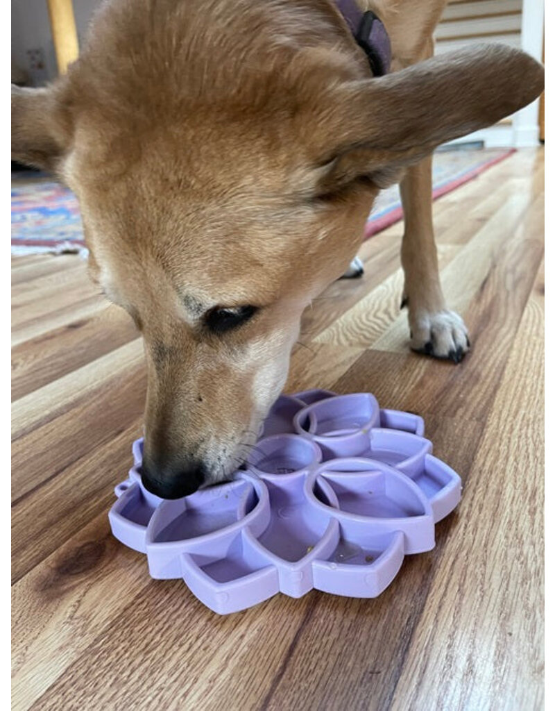 SodaPup SodaPup Enrichment Feeder | Softie Mandala Pastel Purple