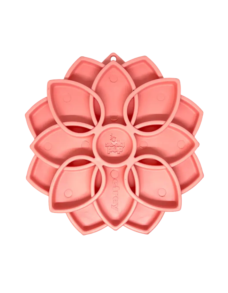 SodaPup SodaPup Enrichment Feeder | Softie Mandala Pastel Pink
